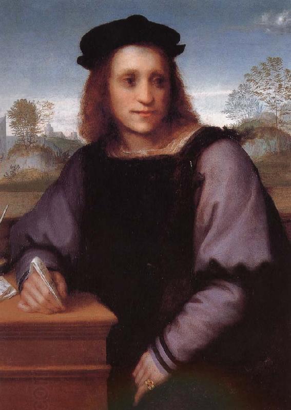 Andrea del Sarto Man portrait oil painting picture